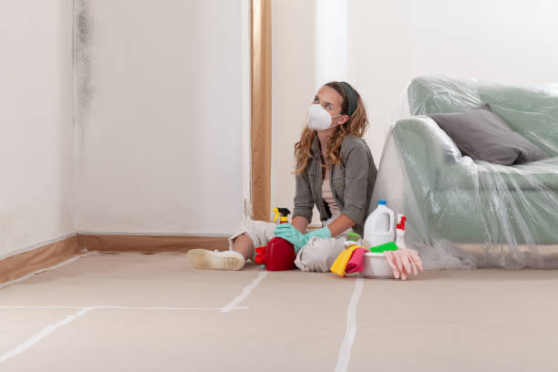 Reliable Mold Remediation contractor in Michigan, MI by WQB Mold Removal